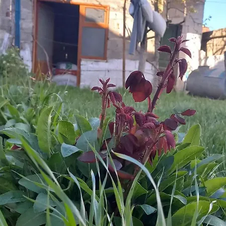 Villa Skylar Family *